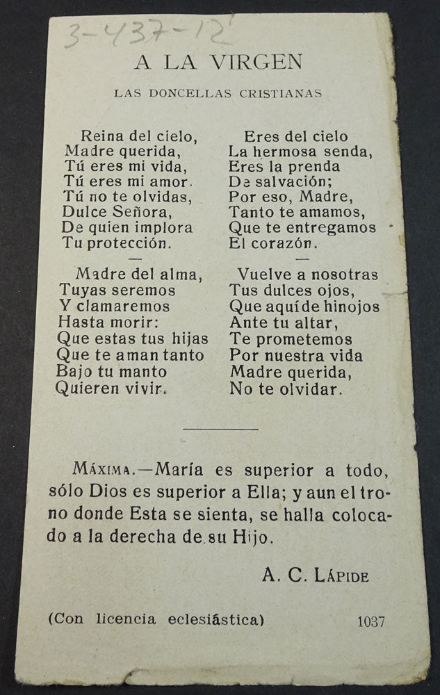 Image #3