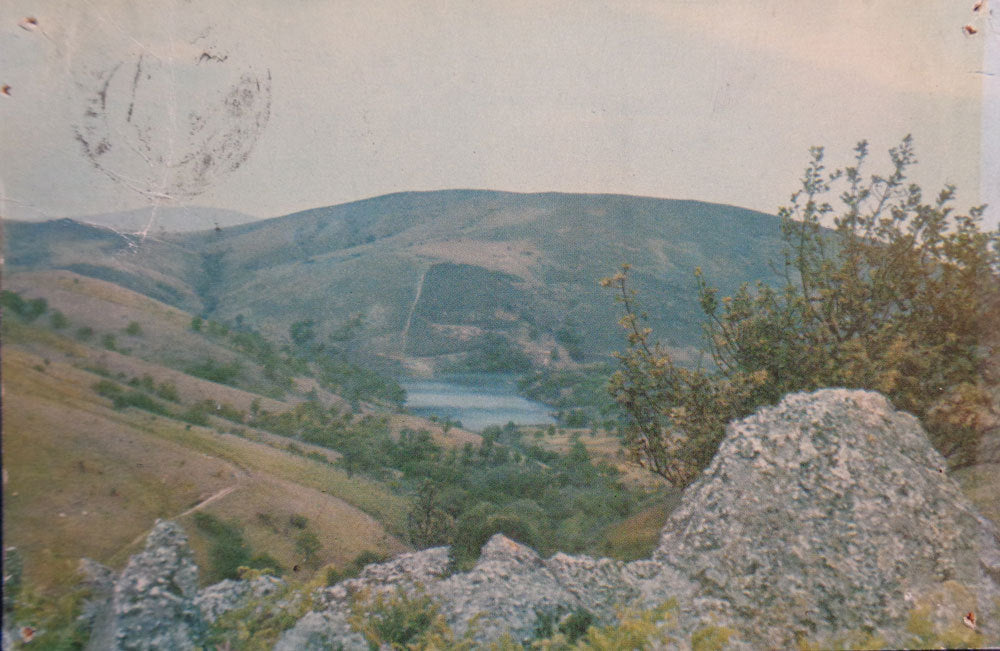Image #1