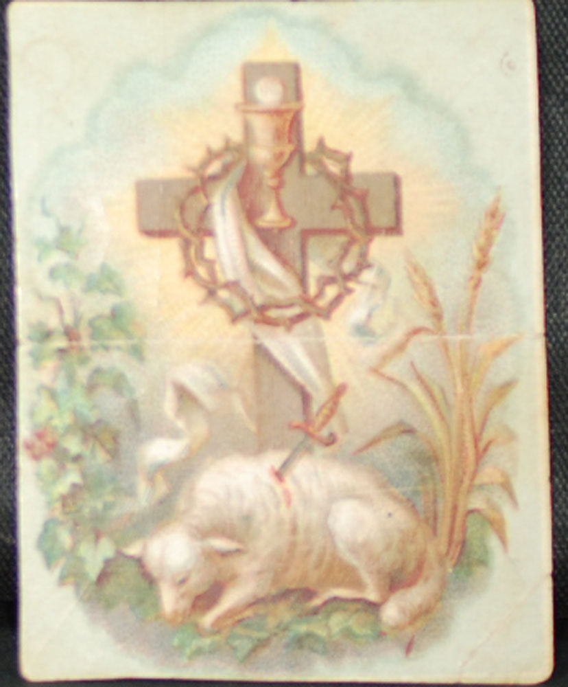 Image #1