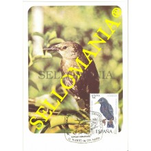 1985 TARJETA MAXIMA CARD PAJAROS BIRDS ESTORNINO NEGRO ANIMALS 2822  TC22743