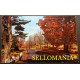 POSTCARD THE ALLEGHENY MOUNTAINS ARE BEAUTIFUL IN ANY SEASON  CC05024 USA