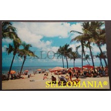 POSTCARD A LOVELY FLORIDA BEACH COCONUT PALMS GLORIOUS SUMMER DAYS CC05034 USA